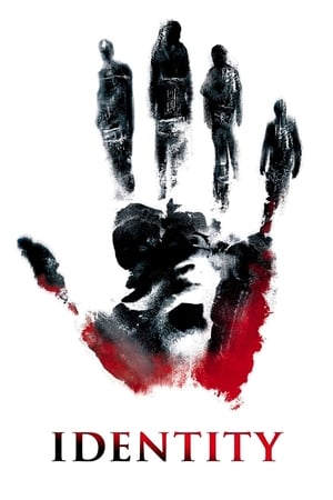 Identity 2003 Hindi Dual Audio [700MB]