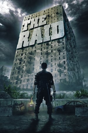 The Raid: Redemption (2011) Hindi Dual Audio [900MB] ESubs